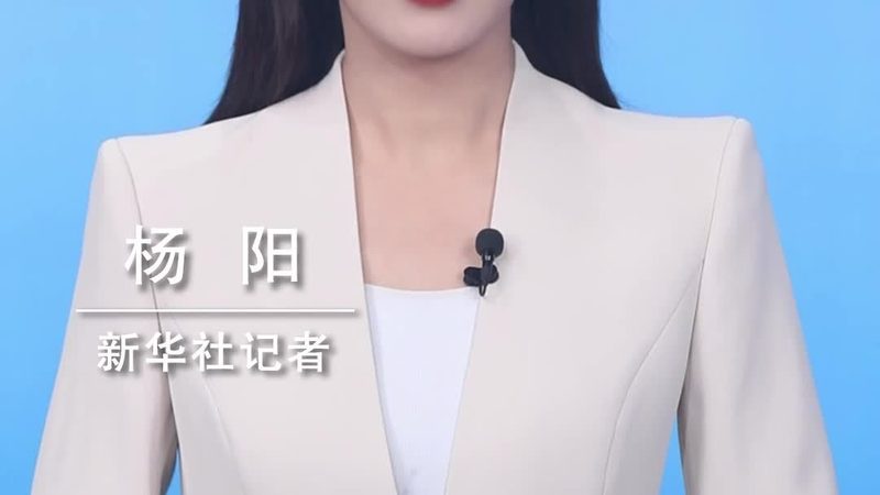 外资CRM系统与本土CRM系统：差异解析与选择要点