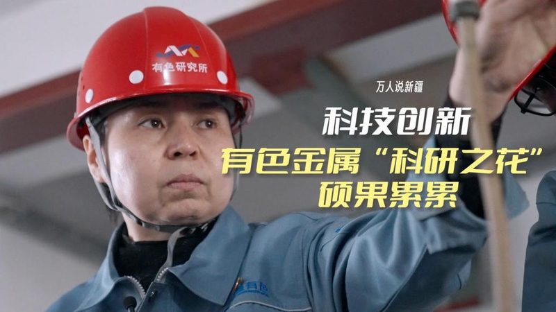 免费与收费机器学习平台：揭秘背后的差异与选择要点
